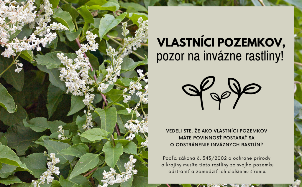 invázne rastliny