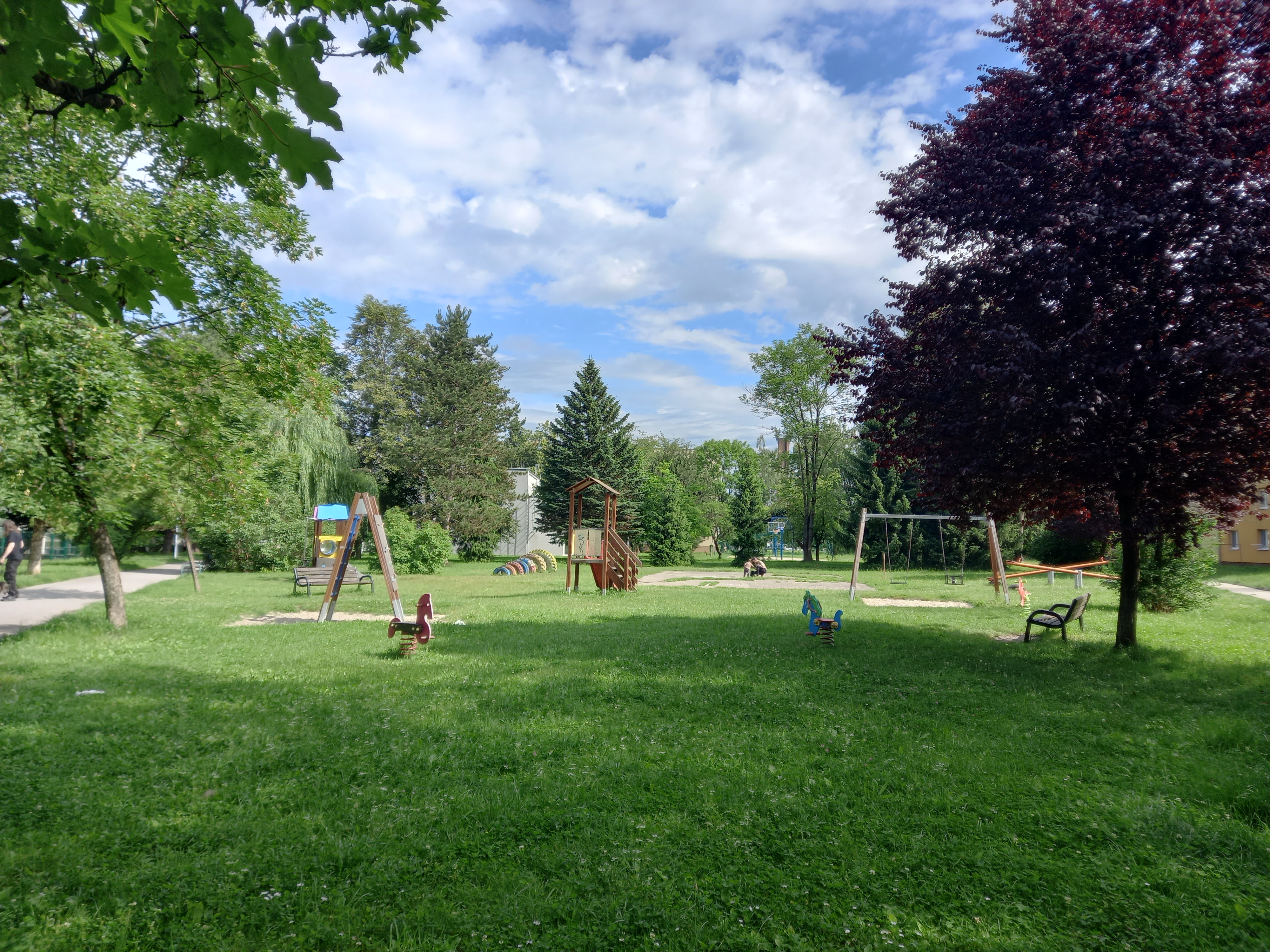 Jarná il. foto