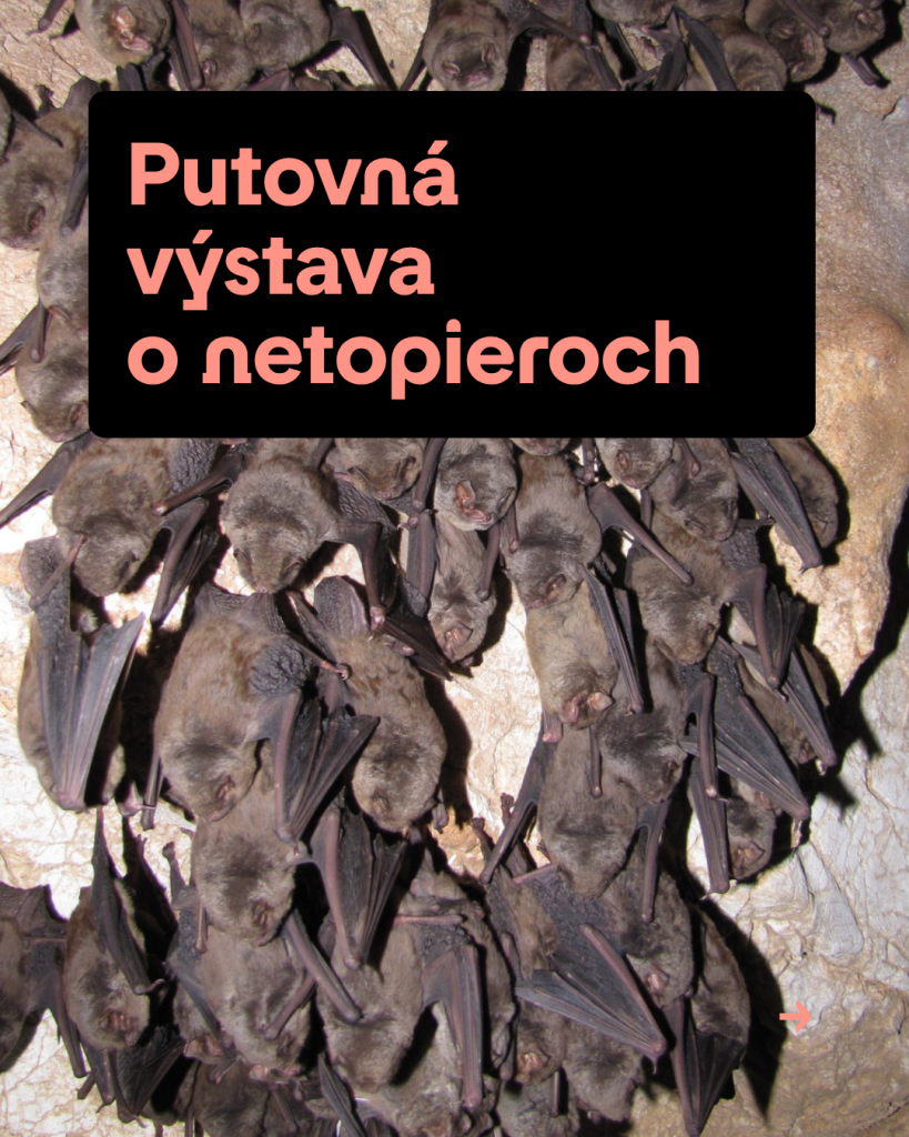 netopiere